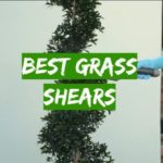 Best Grass Shears