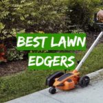 Best Lawn Edgers
