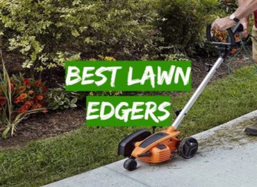 10 Best Lawn Edgers