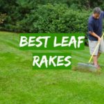 Best Leaf Rakes