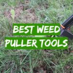 Best Weed Puller Tools