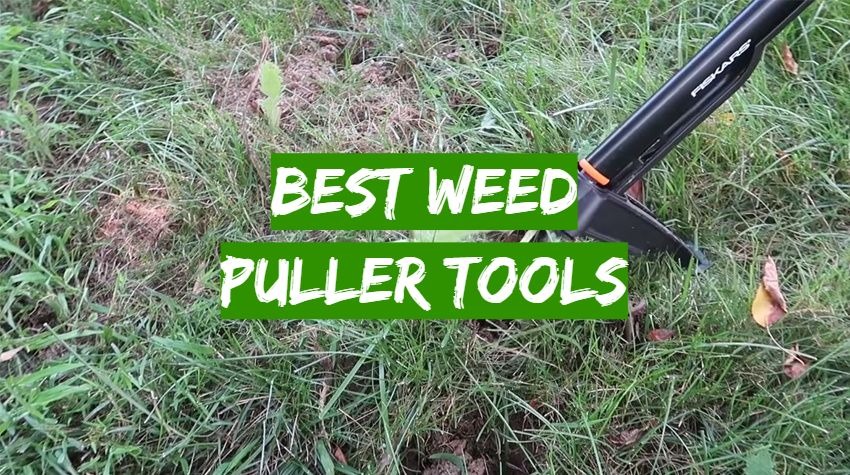 Best Weed Puller Tools