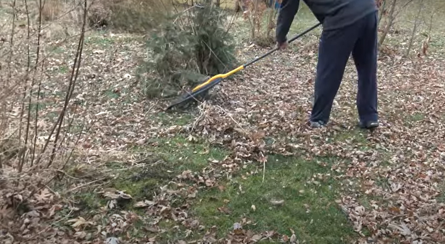 The 5 Best Leaf Rakes Ever [2022 Review] - Grass Killer