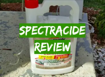 Spectracide Weed And Grass Killer Review