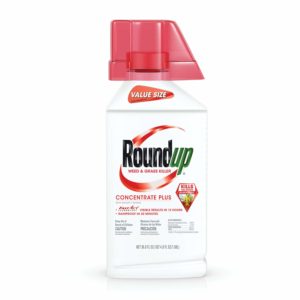 Roundup Weed & Grass Killer Concentrate Plus Value Size