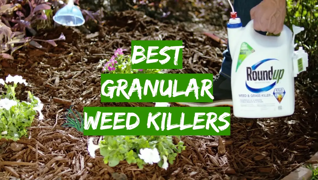 Best Granular Weed Killers