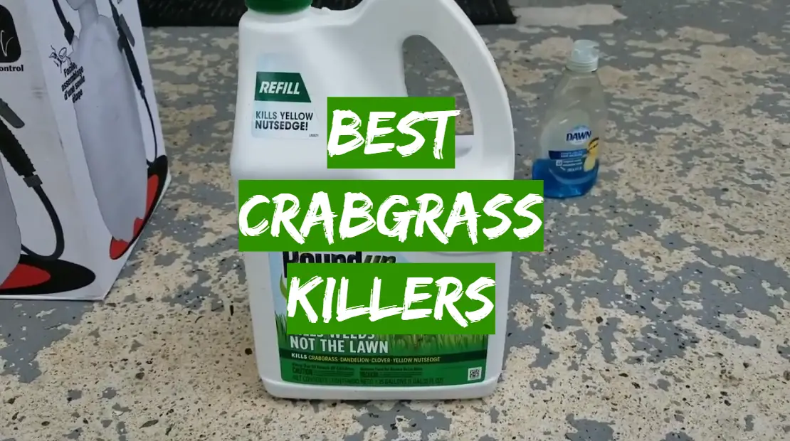 Best Crabgrass Killers