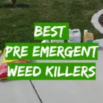 5 Best Pre Emergent Weed Killers