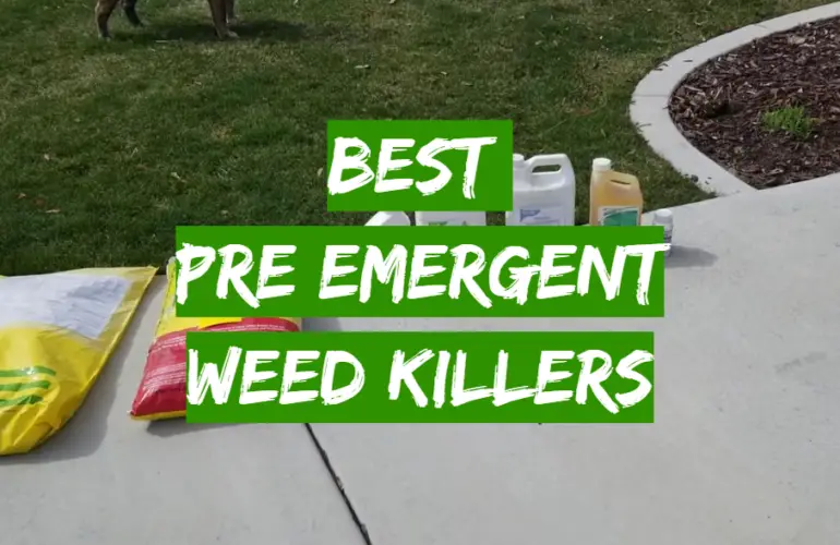 5 Best Pre Emergent Weed Killers