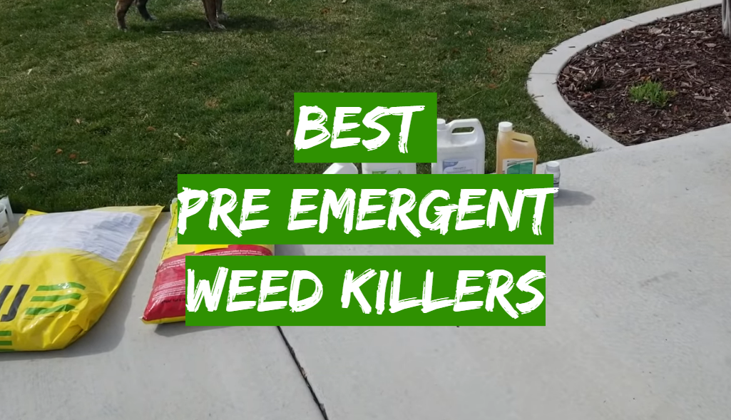5 Best Pre Emergent Weed Killers