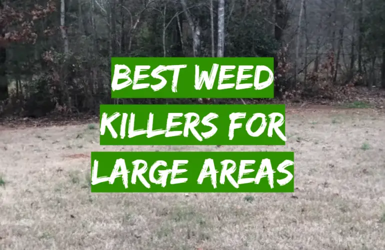5 Best Weed Killers For Large Areas