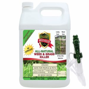 Top 5 Best Pet Safe Weed Killers 2020 Review - Grass Killer