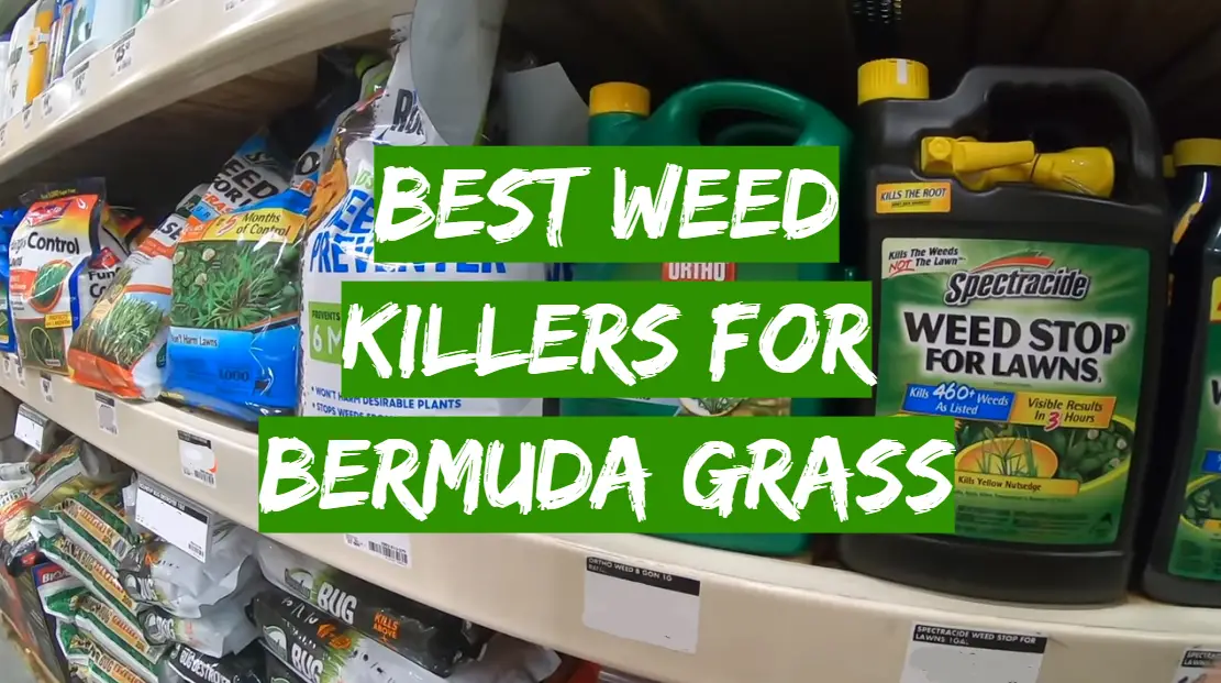 Best Weed Killers For Bermuda Grass