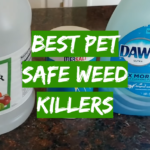Best Pet Safe Weed Killers