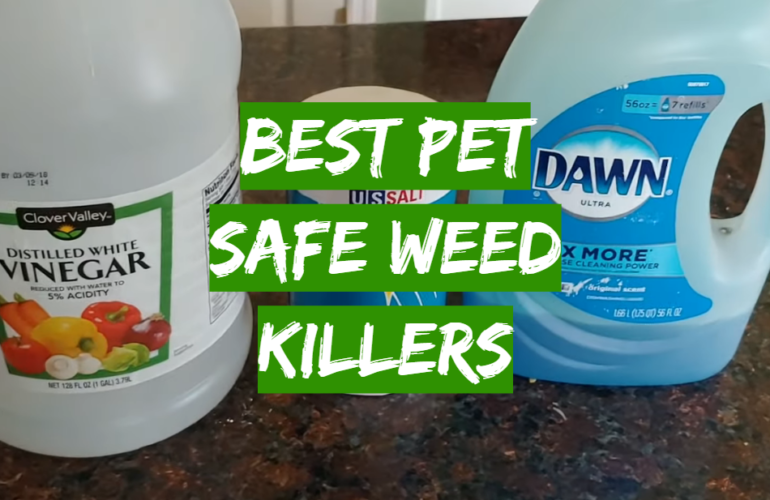 Top 5 Best Pet Safe Weed Killers [2021 Review] - Grass Killer