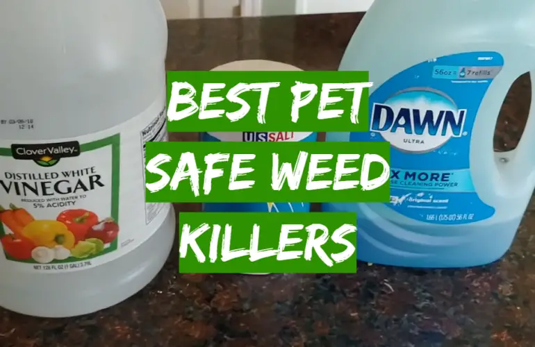 Top 5 Best Pet Safe Weed Killers 2021 Review Grass Killer