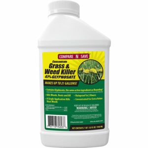 Compare-N-Save Concentrate Grass and Weed Killer