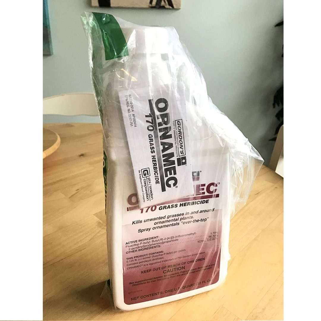 Top 5 Best Weed Killers For Bermuda Grass [January 2024 Review] Grass