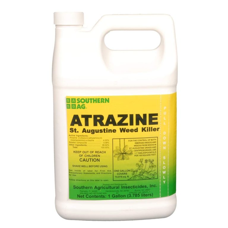 Top 5 Best Weed Killers For St. Augustine Grass [December 2023 Review