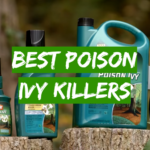 Best Poison Ivy Killers