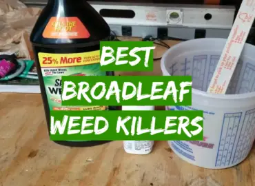 5 Best Broadleaf Weed Killers