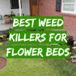 5 Best Weed Killers For Flower Beds