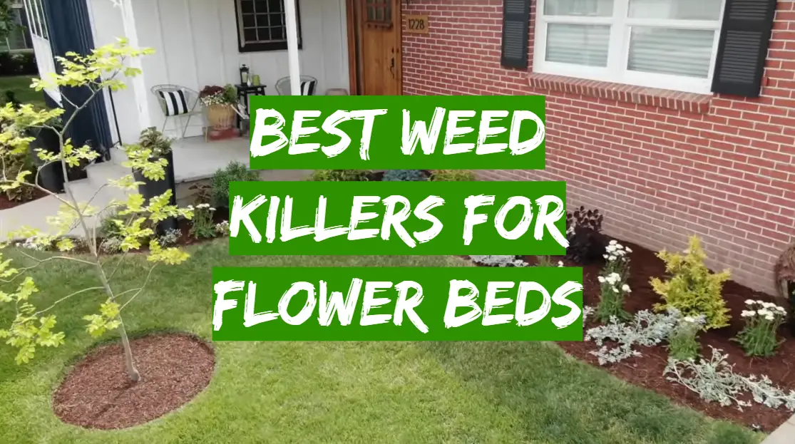 5 Best Weed Killers For Flower Beds