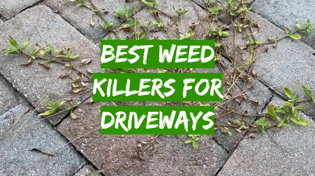 Best Weed Killers For Driveways