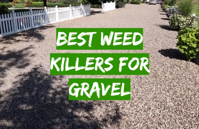 5 Best Weed Killers For Gravel