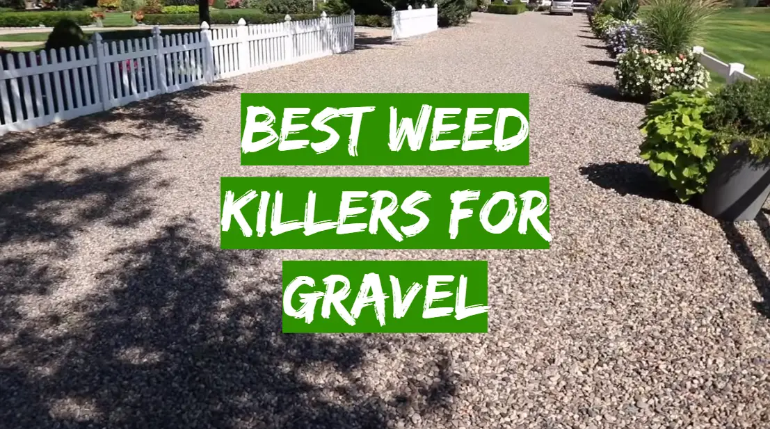 Best Weed Killers For Gravel