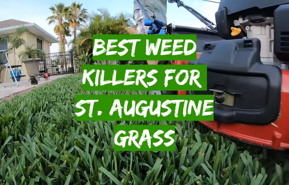 Best Weed Killers For St. Augustine Grass
