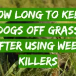 How Long to Keep Dogs Off Grass After Using Weed Killers