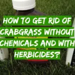 How to Get Rid of Crabgrass without Chemicals and with Herbicides?