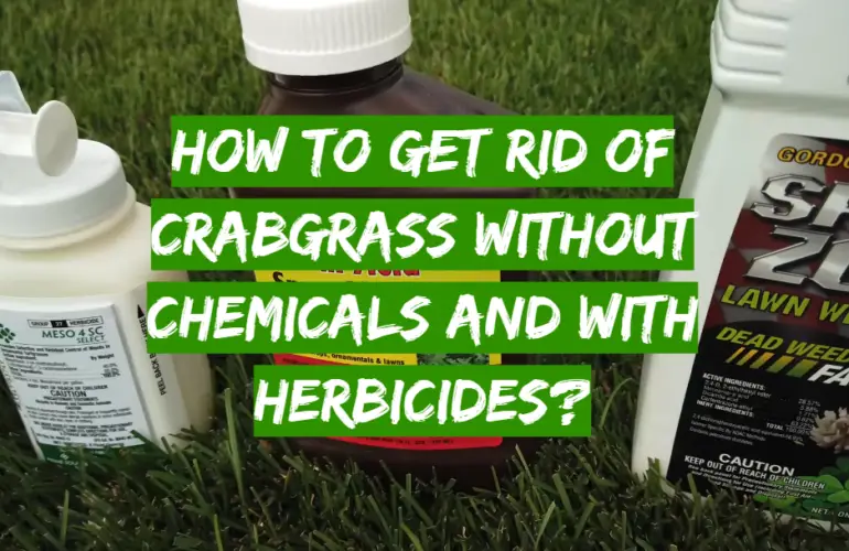 How to Get Rid of Crabgrass without Chemicals and with Herbicides