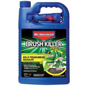 BioAdvanced 704655A Brush Killer Plus