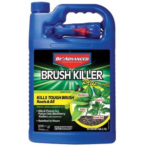 BioAdvanced 704655A Brush Killer Plus