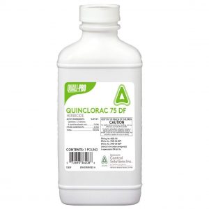 Quinclorac 75 DF Selective Herbicide Equivalent to Drive quali-1014