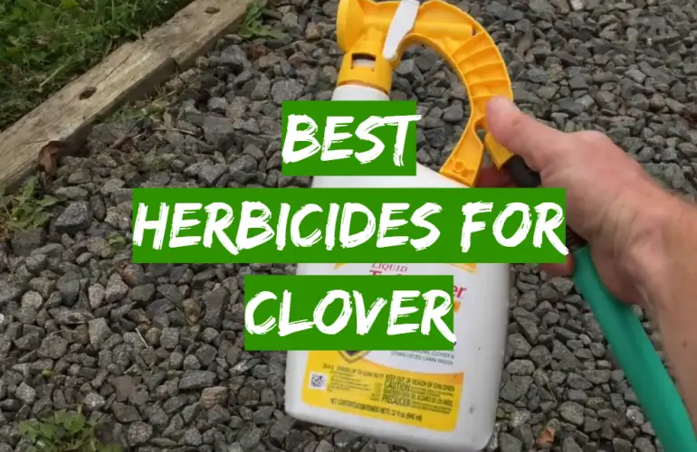 does crossbow herbicide kill clover