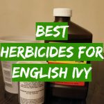 Best Herbicides for English Ivy