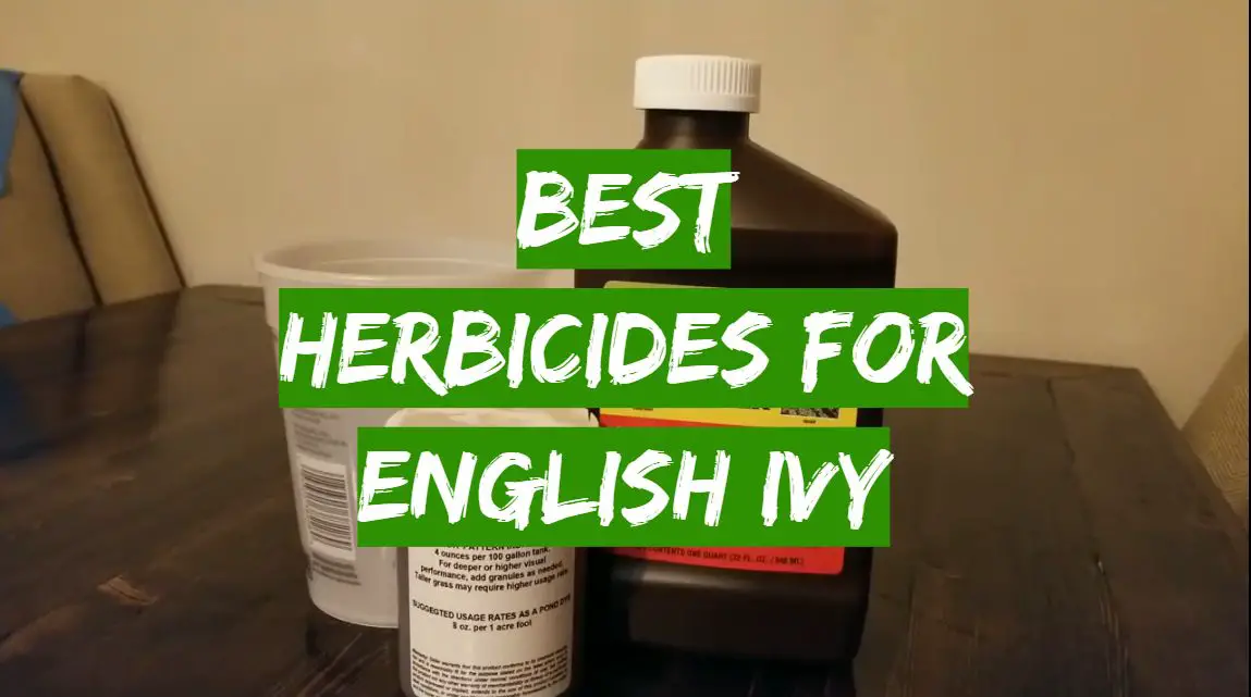 Best Herbicides for English Ivy