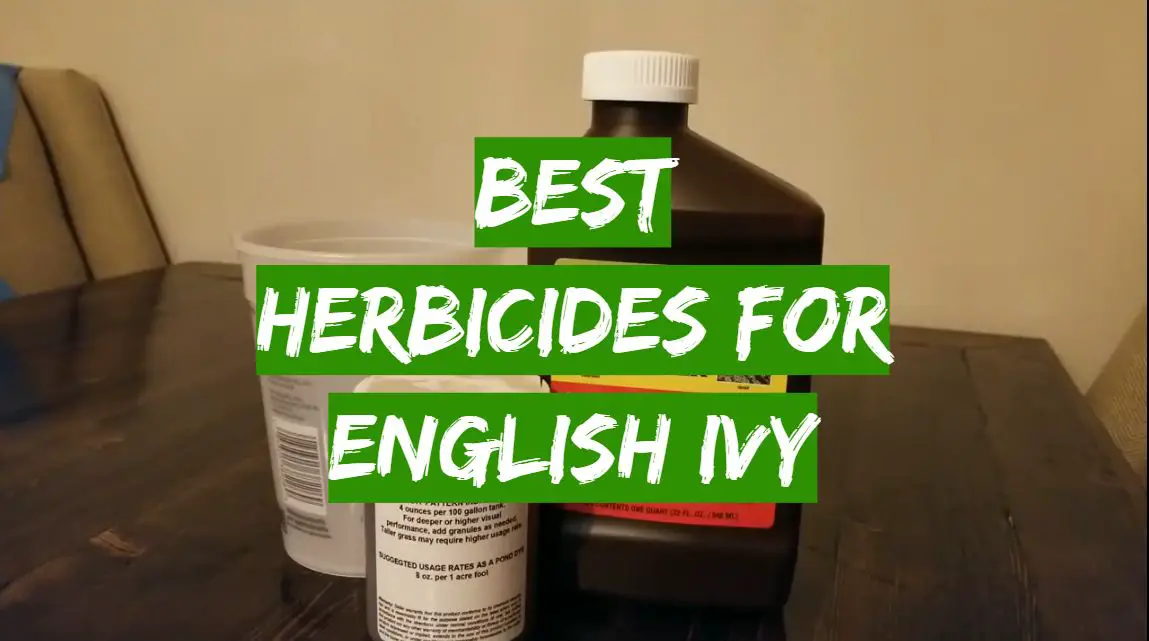 Top 5 Best Herbicides For English Ivy December 2023 Review Grass Killer