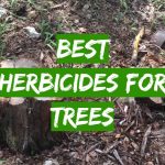 Best Herbicides for Trees