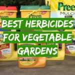 Best Herbicides for Vegetable Gardens