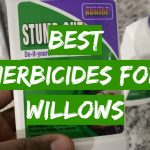 Best Herbicides for Willows