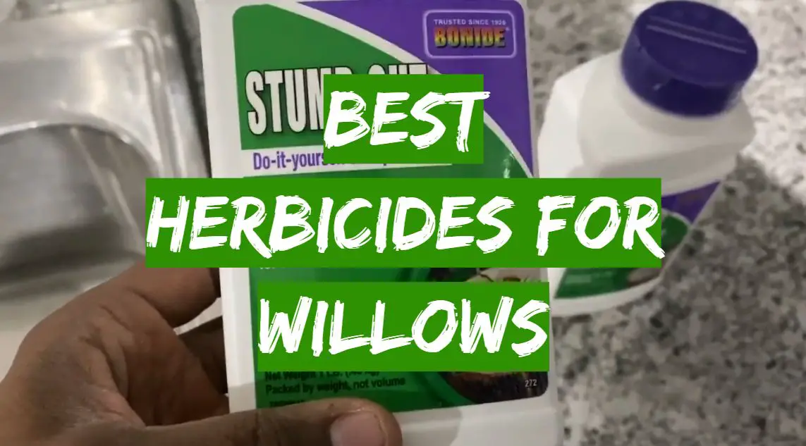 Best Herbicides for Willows