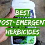 Best Post-Emergent Herbicides