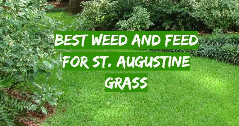 Top 5 Best Weed and Feed for St. Augustine Grass [2021 Review] - Grass