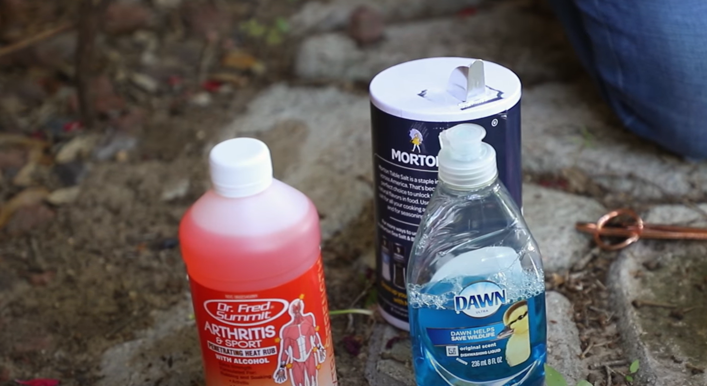 Top 5 Best Moss Killers for Lawns [June 2024 Review] Grass Killer