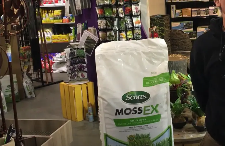 Top 5 Best Moss Killers for Lawns [June 2024 Review] Grass Killer