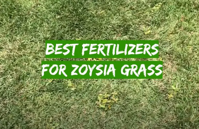 top-5-best-fertilizers-for-zoysia-grass-2021-review-grass-killer